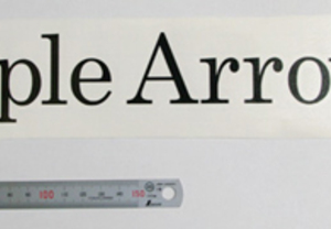 シンプルな社名のカッティングステッカー