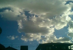 ちょっとした飾りでもこのクオリティ！