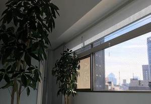 カッティングステッカーで、皆様をご案内します！