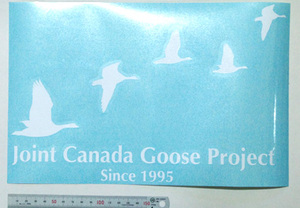 おしゃれなデザインのカッティングステッカー（カッティングシート含む）