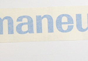 社名のカッティングステッカー（カッティングシート含む）です