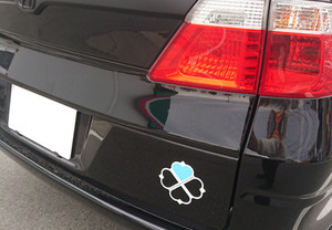 カッティングステッカーと車体の色を組み合わせたナイスアイデア！