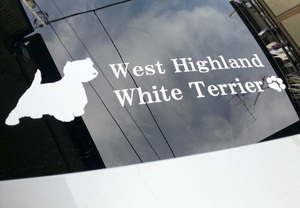 可愛いワンちゃんのシルエットもカッティング用シートでバッチリ！