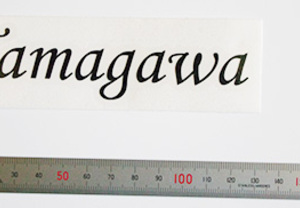 表札用カッティングステッカー（カッティングシート含む）