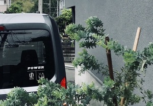 デザインはミックスしても、カッティングシートの一色使いで統一感が生まれます