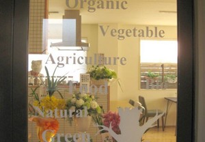 ガラスに貼る場合はカッティング用シートで決まり！