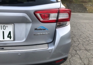 自然豊かな斑尾高原をイメージした、さわやかなカッティングステッカー