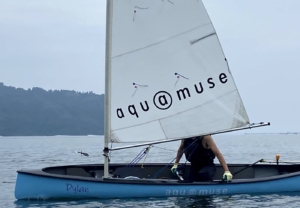 セーリングカヌーの船体を飾るのは、防水仕様のカッティングシート