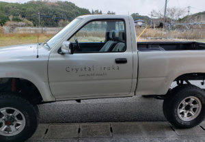 癒やしを感じる、手書き風フォントとイルカのシルエットのカッティングシート