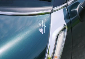 さりげないデザインに個性が光る、オシャレなカーステッカー