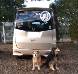 愛犬のカッティングステッカーと一緒におでかけ♪