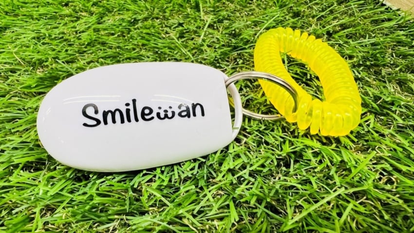 犬のトレーニングの際に使う道具に貼られたカッティングシート2