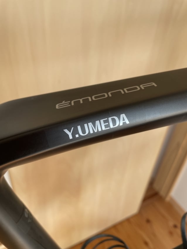 ロードバイクのフレームに貼られたカッティングシート 拡大2