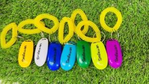 犬のトレーニング道具をオリジナルのカッティングステッカーでリメイク