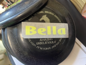 大切なディスクには、インパクトのあるカッティングシートを