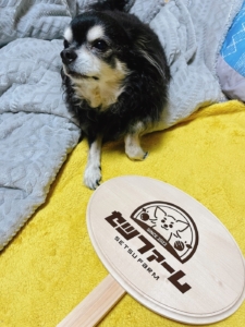 愛くるしいワンちゃんのイラストが目を惹くロゴステッカー