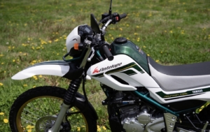 お気に入りのカッティングステッカーでドライブを満喫♪