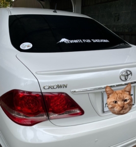 車体の雰囲気に合う上品な艶のカッティングシート