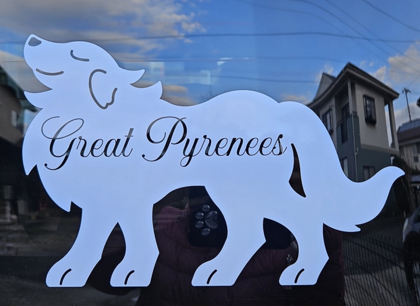 車のリアガラスに貼られたカッティングシート 拡大1