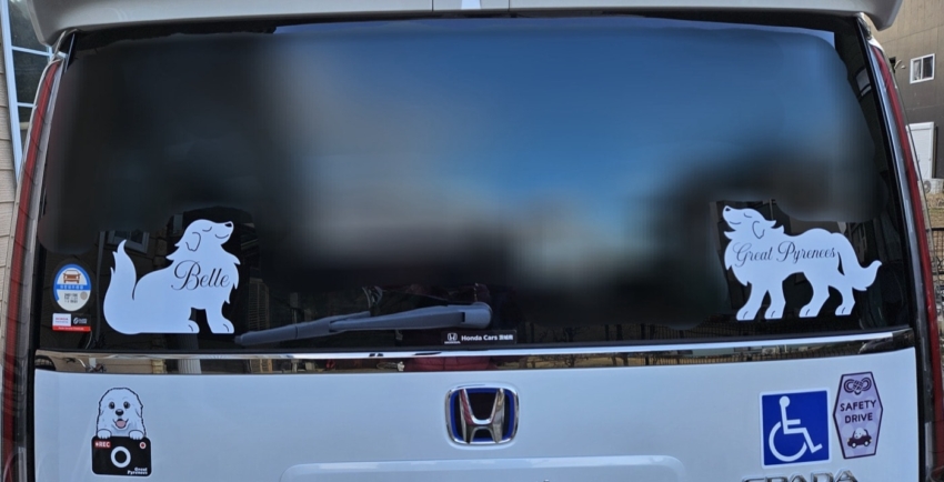 車のリアガラスに貼られたカッティングシート