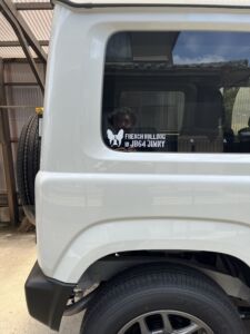 車の側面ガラスに「愛犬が乗ってます」のカッティングステッカー！