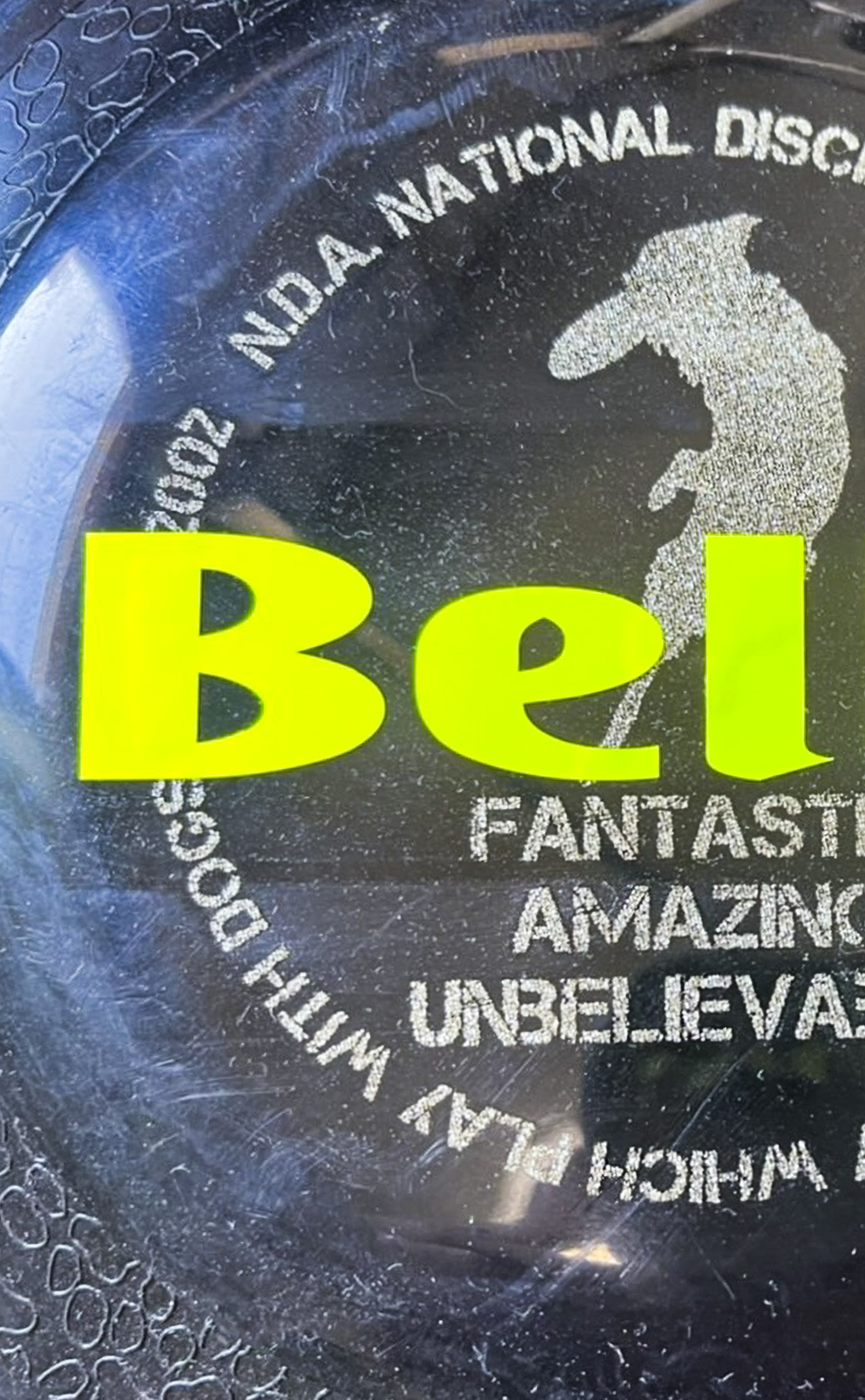 フリスビーに貼られた蛍光色のカッティングシート