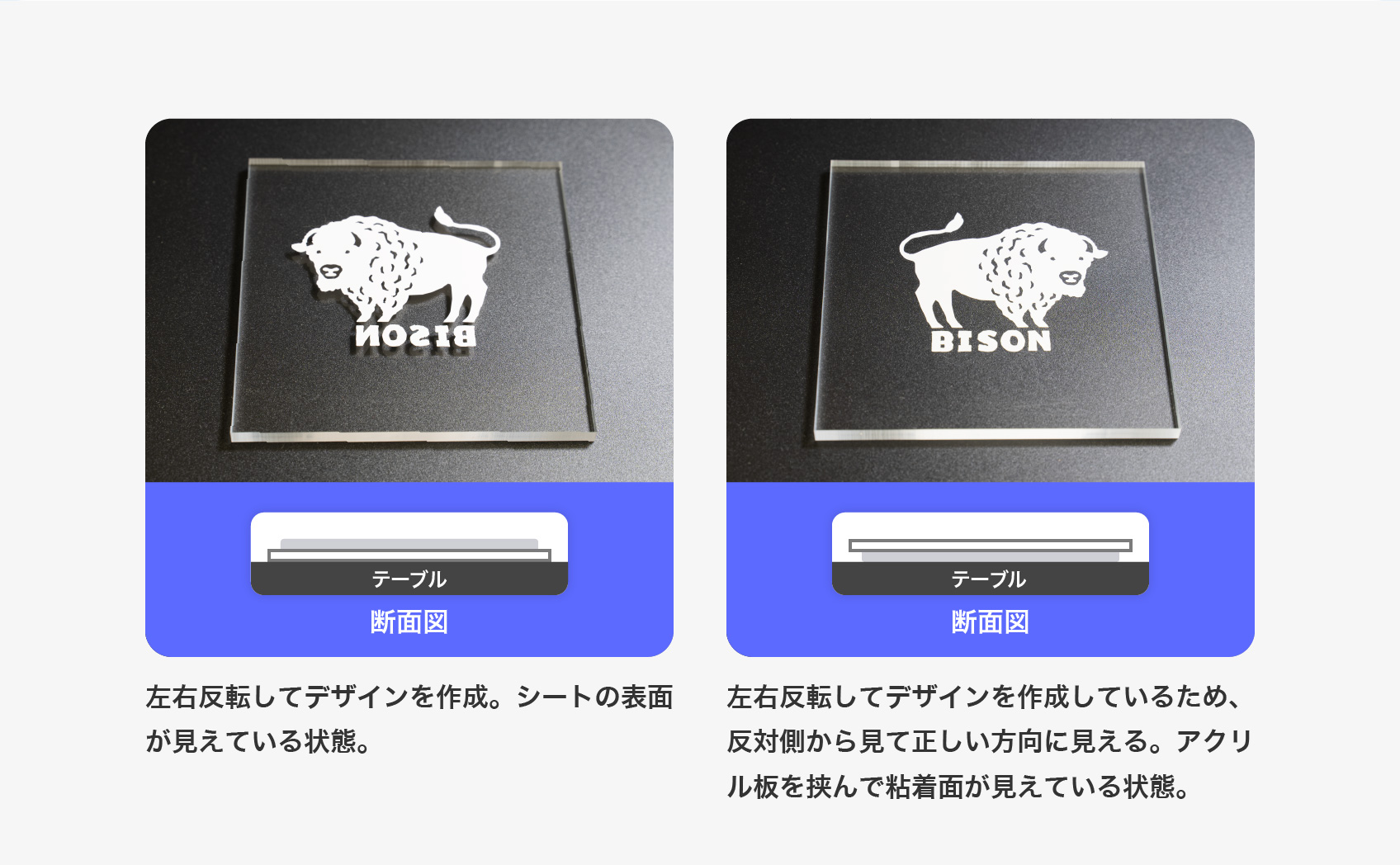 左右反転の鏡文字で作成されたバイソンのイラストのカッティングシート