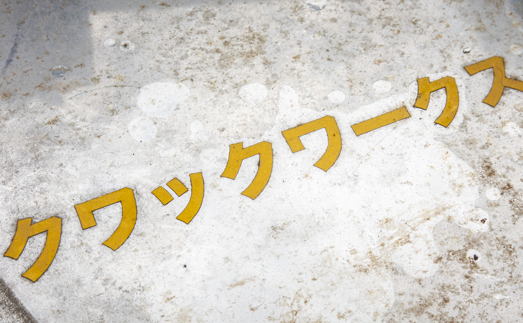 5200-020_[4年] 2021/08/24