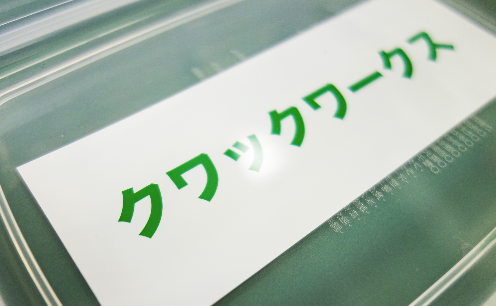 8500-068_[1ヶ月] 2017/09/04撮影