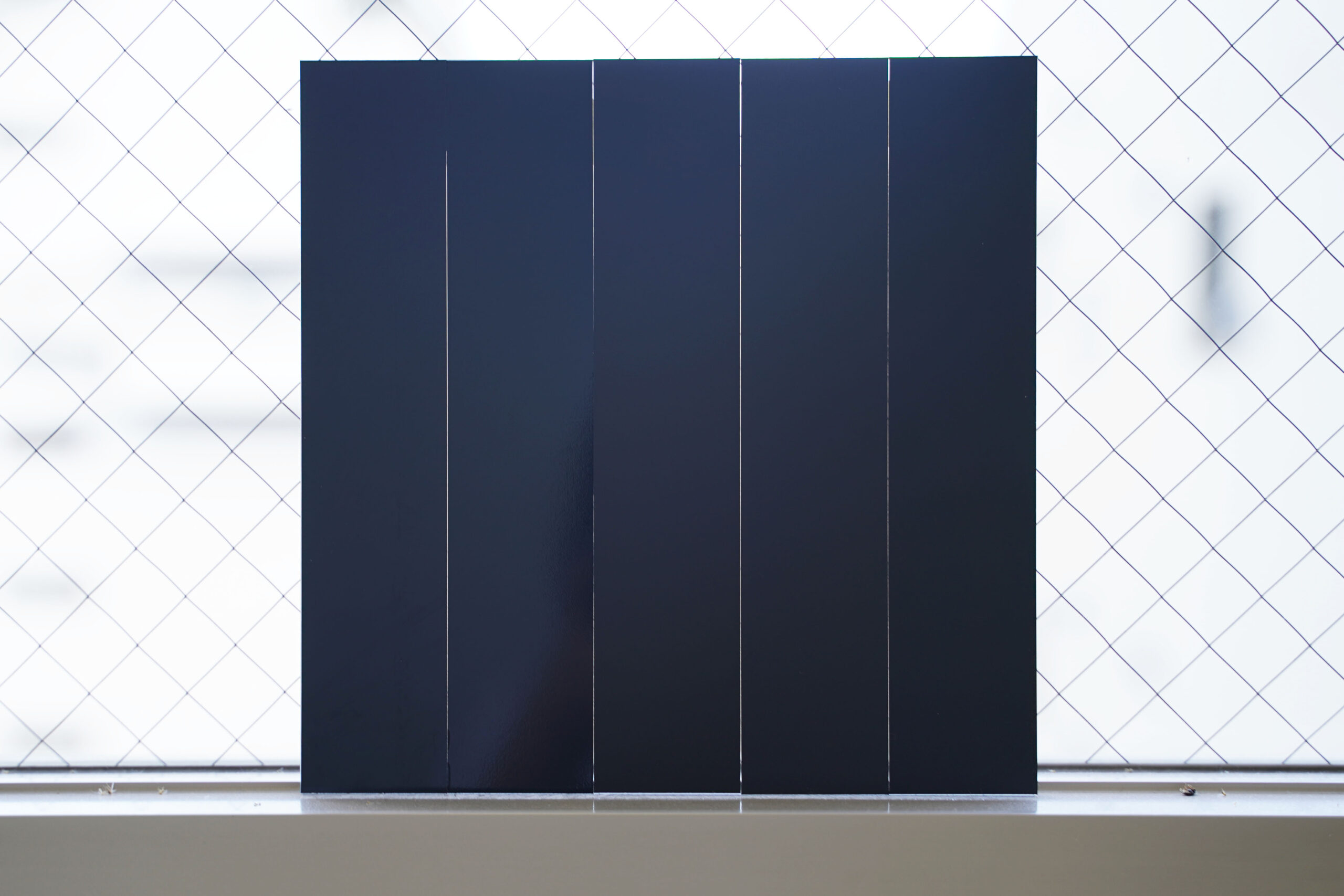 自然光に当てている