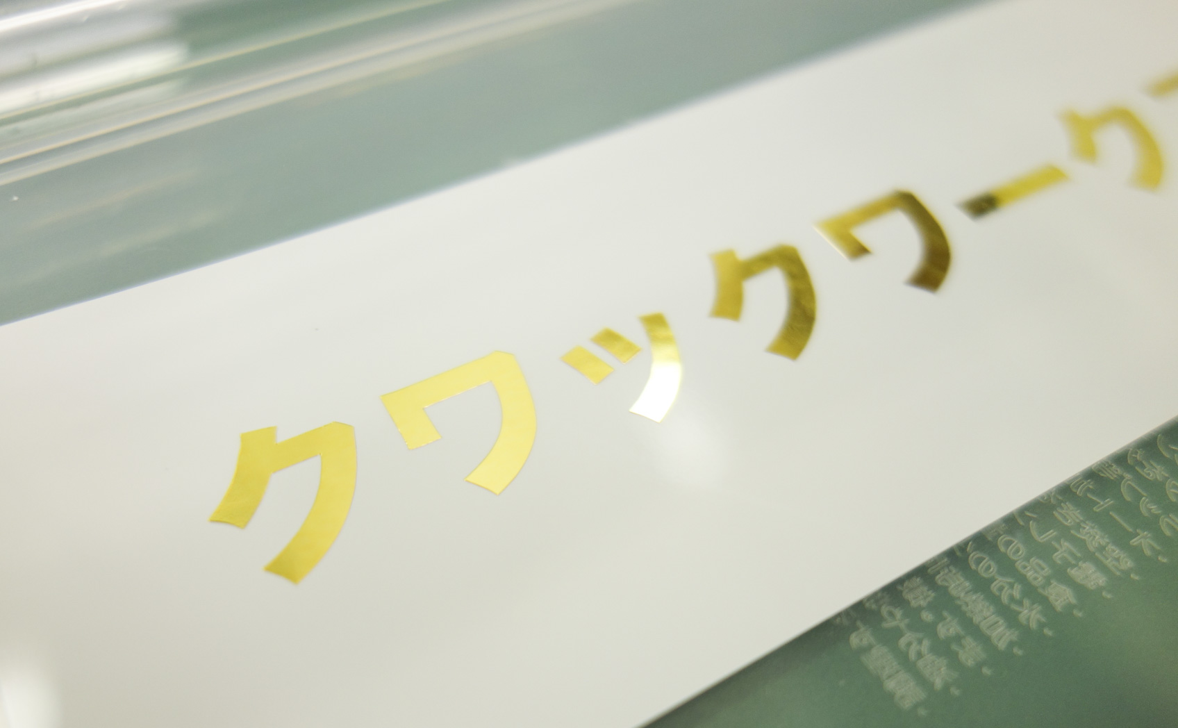 CS200Me-813_[1ヶ月] 2017/09/04撮影