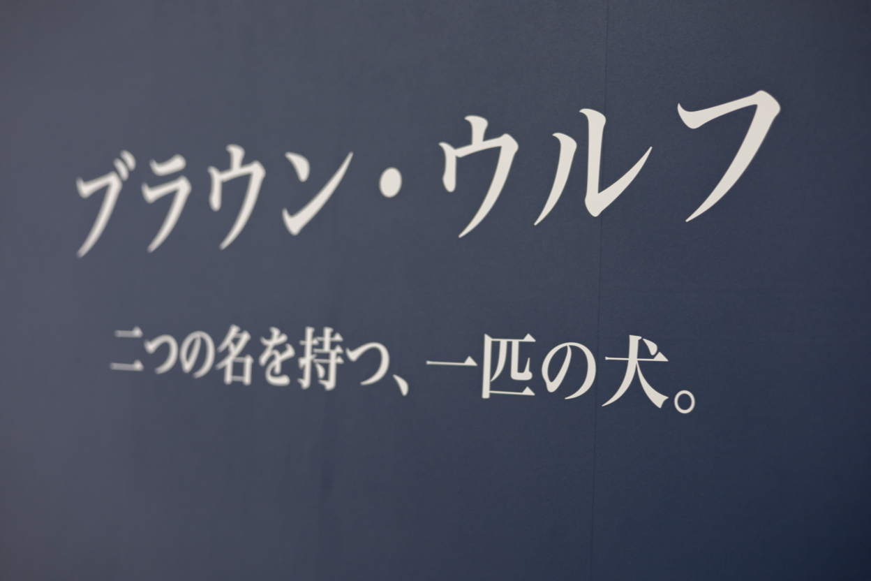 壁面に貼られた卒業制作のカッティングシート 斜め