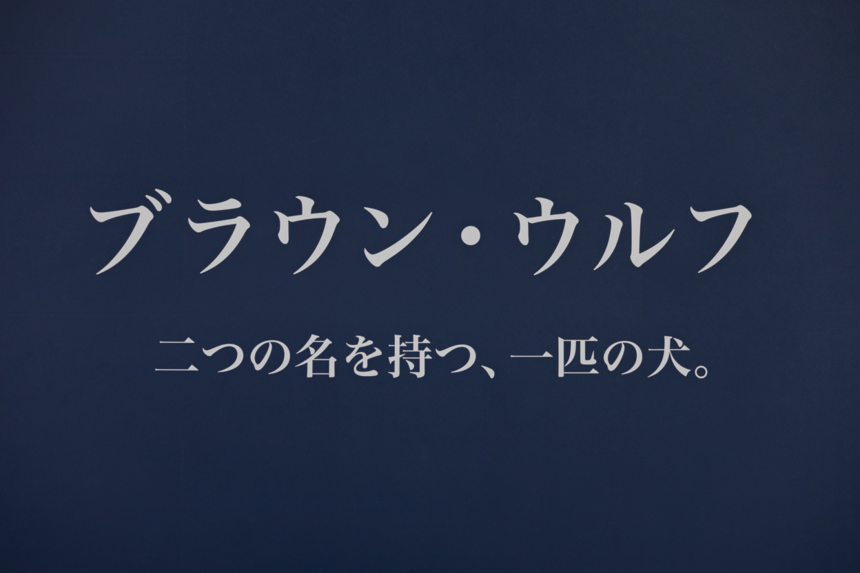 壁面に貼られた卒業制作のカッティングシート 正面