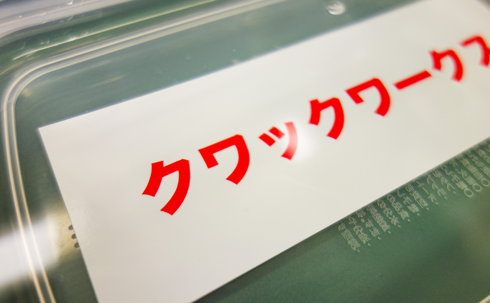 6510-039_[1ヶ月] 2017/09/04撮影