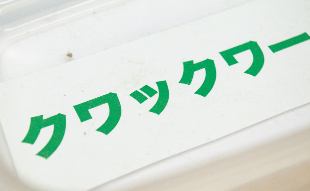 651-061_[8年] 2020/08/27