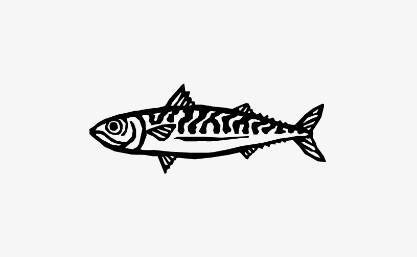 トリミング代_小さい魚