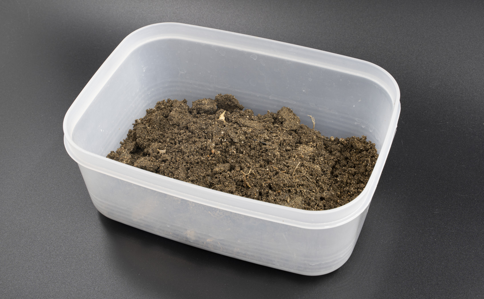 泥汚れの落ち方を光沢・マットで比較 土