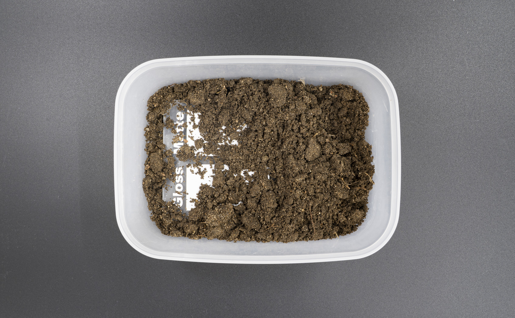 泥汚れの落ち方を光沢・マットで比較 土に埋めた