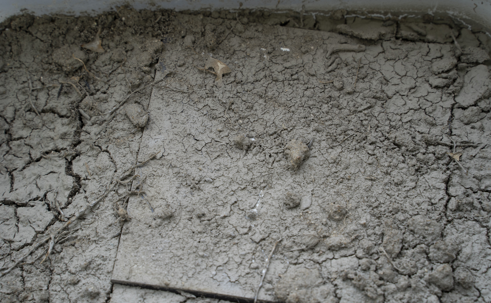 泥汚れの落ち方を光沢・マットで比較 乾いた表面