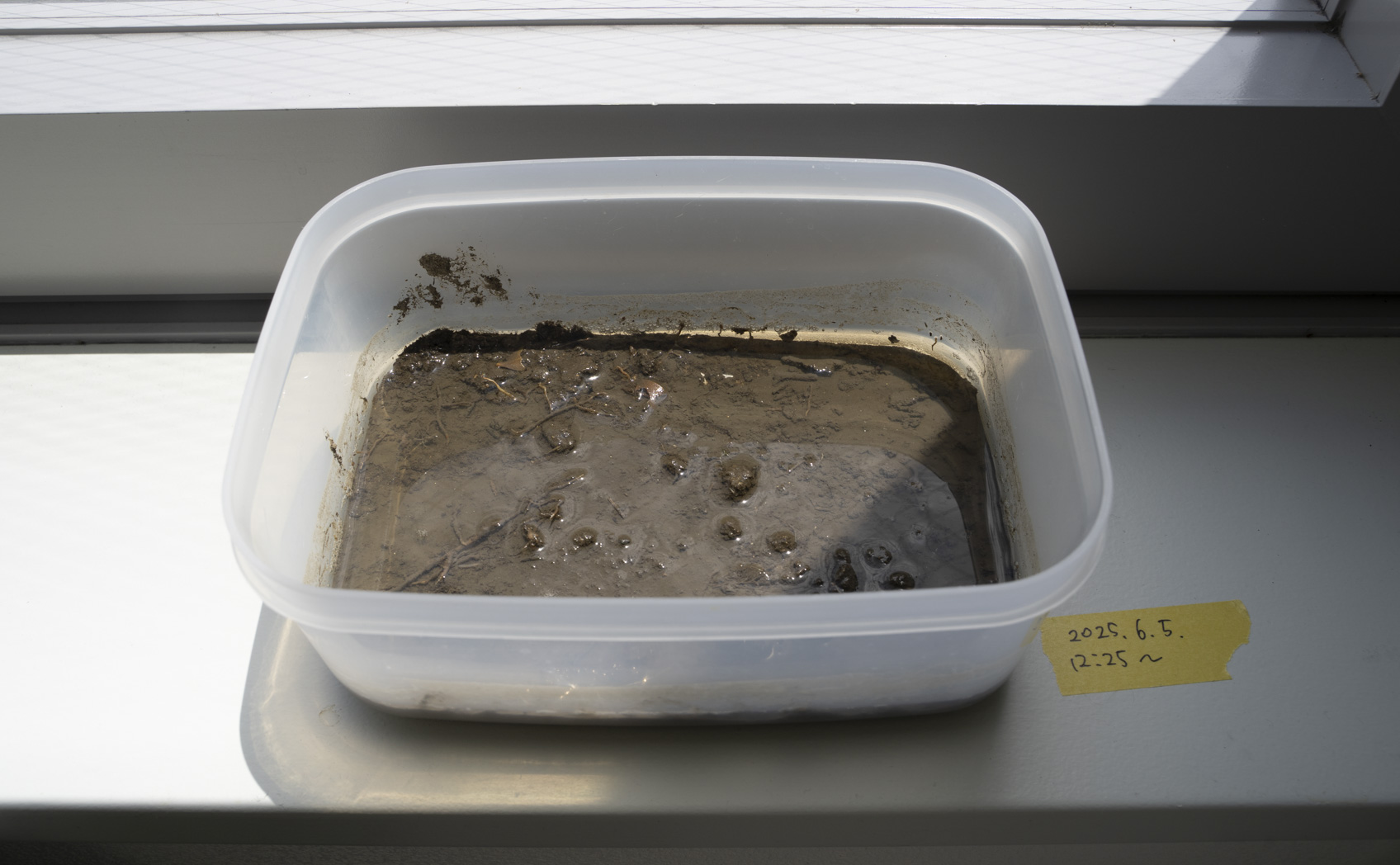 泥汚れの落ち方を光沢・マットで比較 ほぼ田んぼ