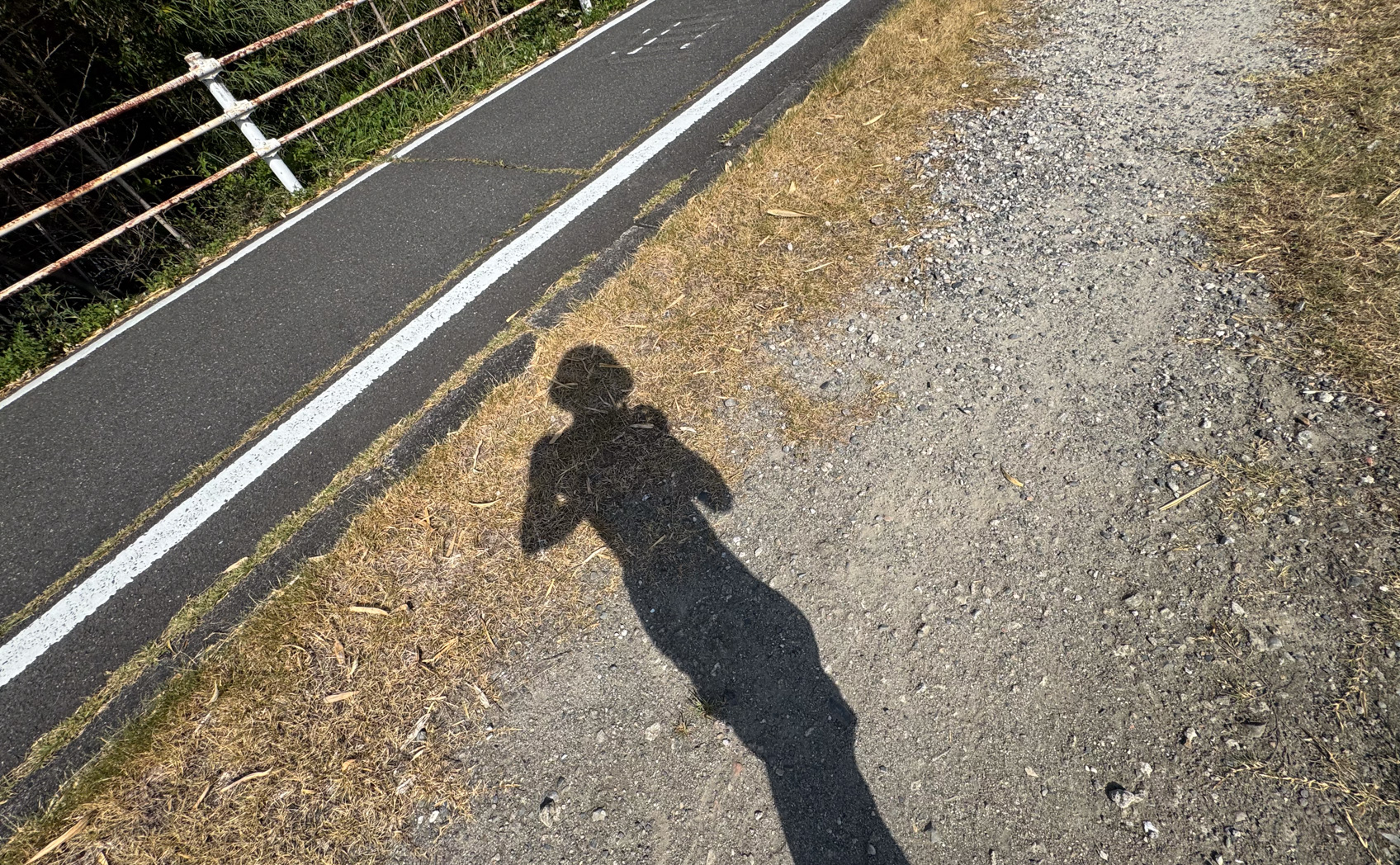 肌にカッティングシートは貼れるのか。そして日焼け跡はできるのかの実験