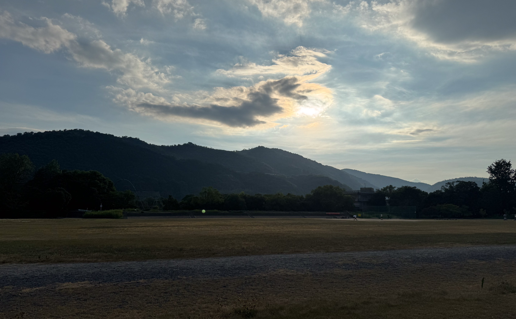 肌にカッティングシートは貼れるのか。そして日焼け跡はできるのかの実験