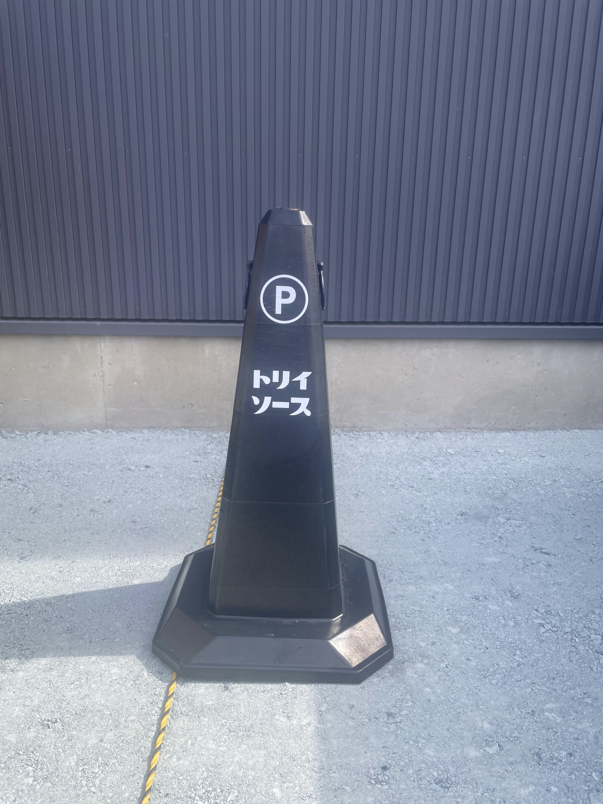 2025pylon-scaled.jpg