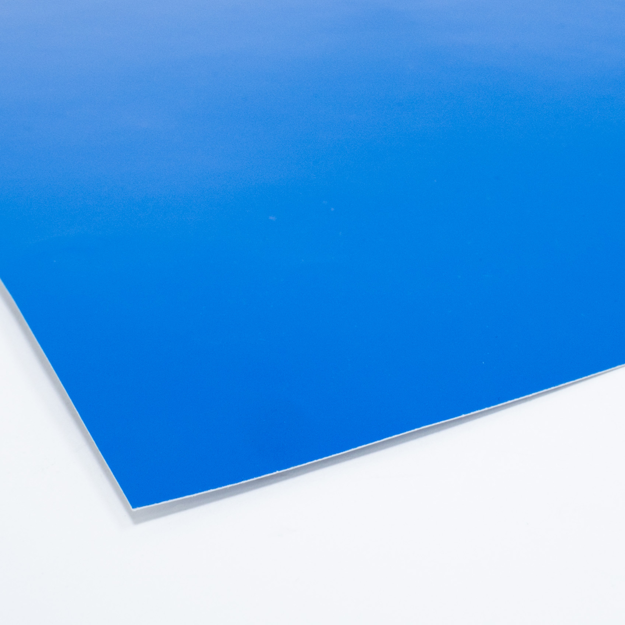 651-098ジェンティアンの写真