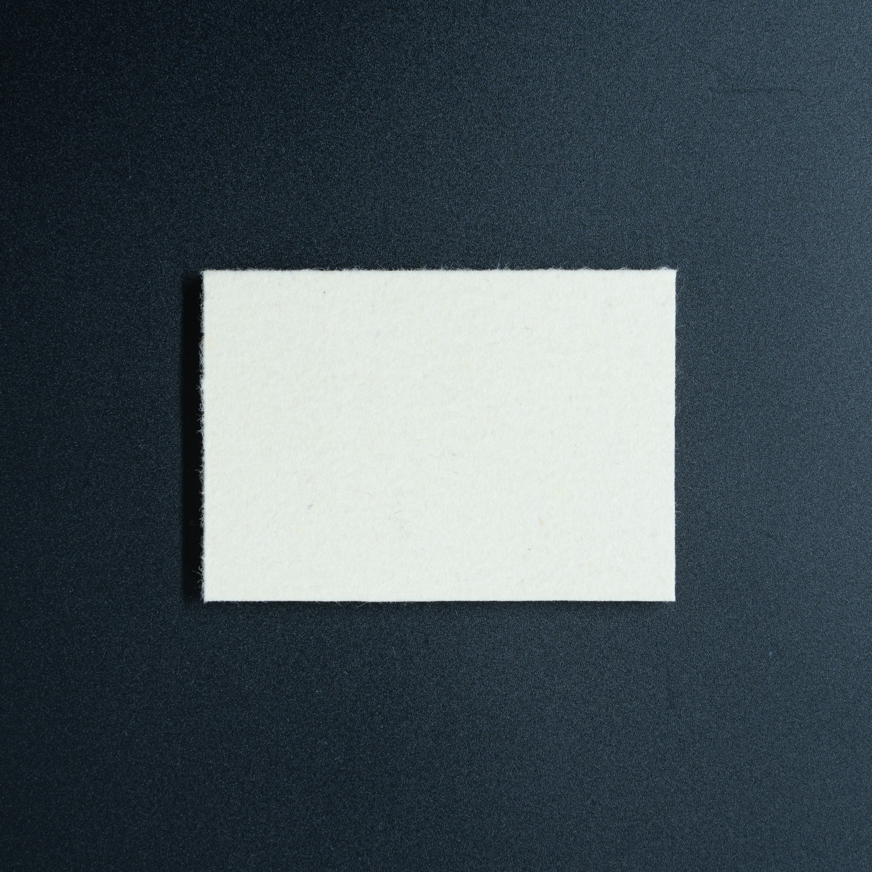 ORAFOLフェルトスキージー