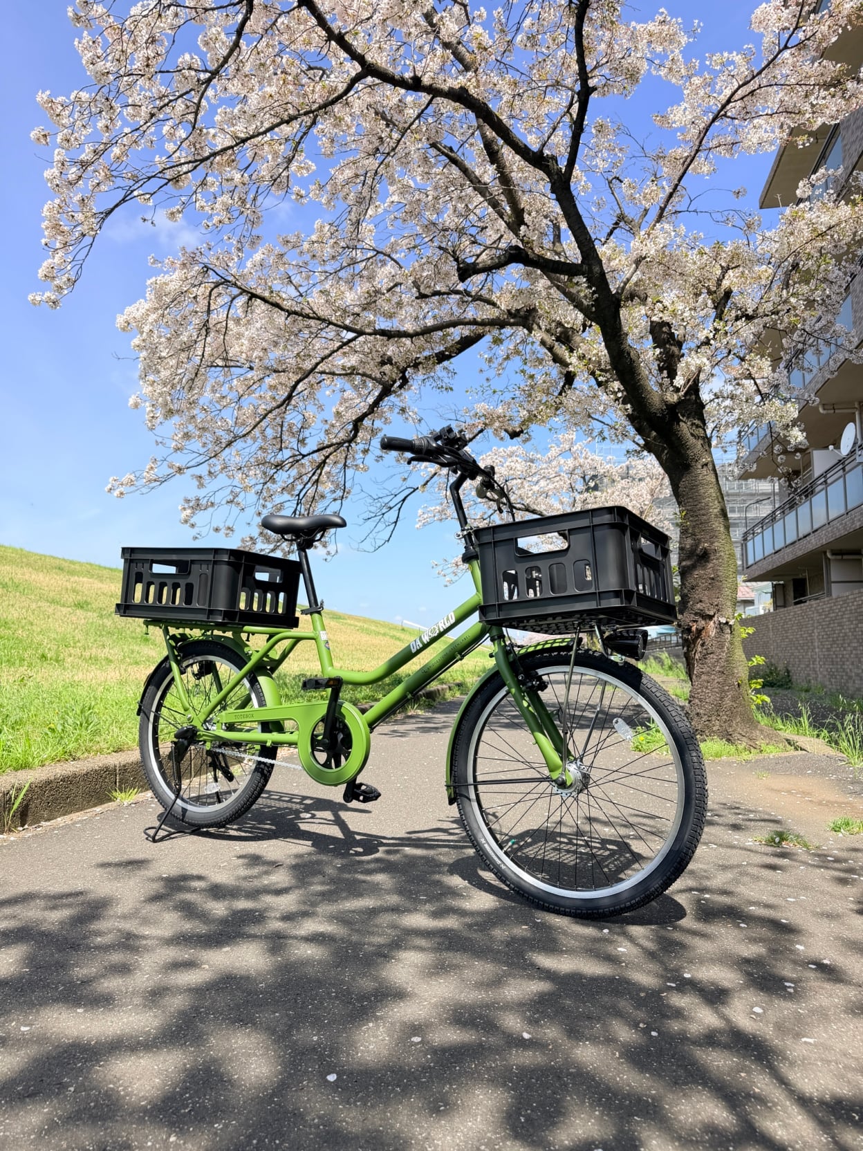 カッティングシートを貼った自転車の全体図
