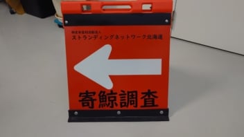 雨や潮風にも負けない！高耐候カッティングシートで制作する調査・現場用文字サイン