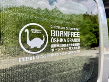 貼る作業も楽しい！カッティングシートで車のガラスにオリジナルカーステッカーをDIY